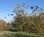 Explainable Deep Reinforcement Learning for UAV autonomous path planning